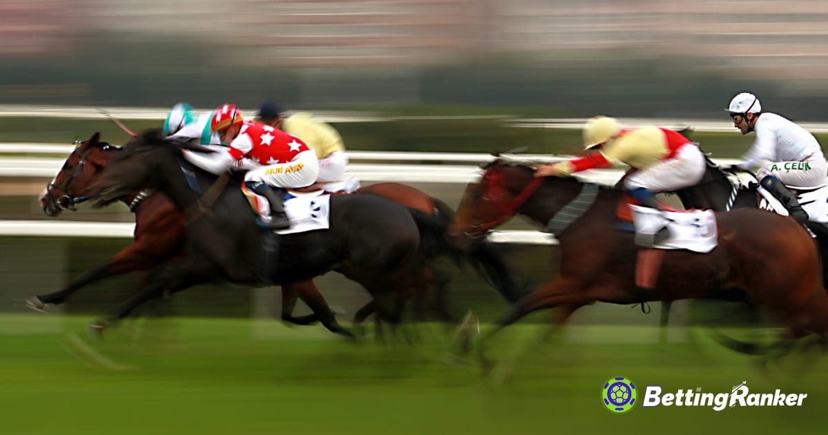 كيفية الرهان على سباق الخيل المباشر