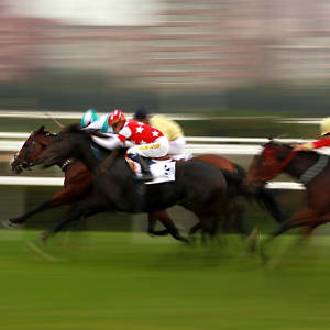 كيفية الرهان على سباق الخيل المباشر
